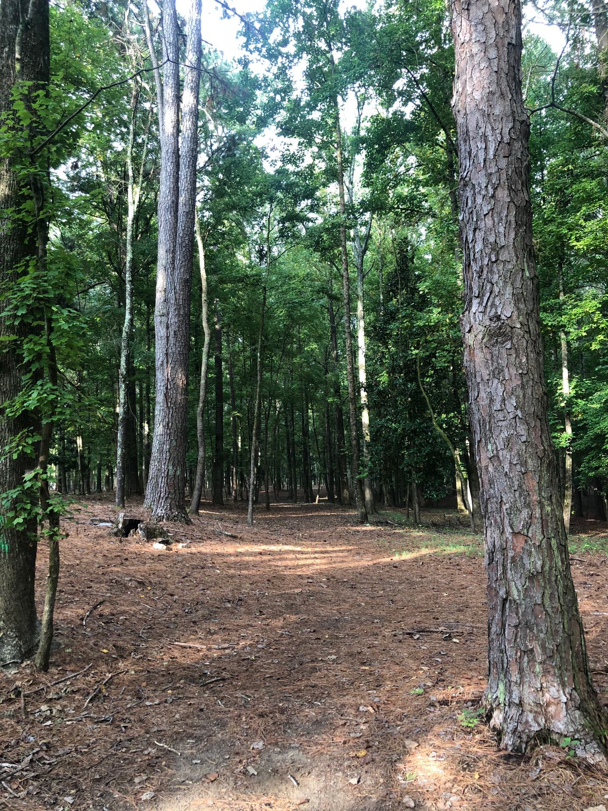 Hole 2