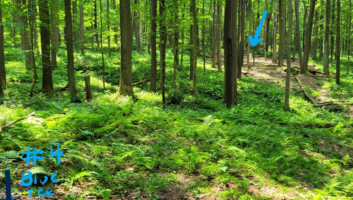 Hole 4 Blue Tee