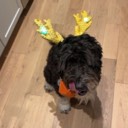 tuffwyatt