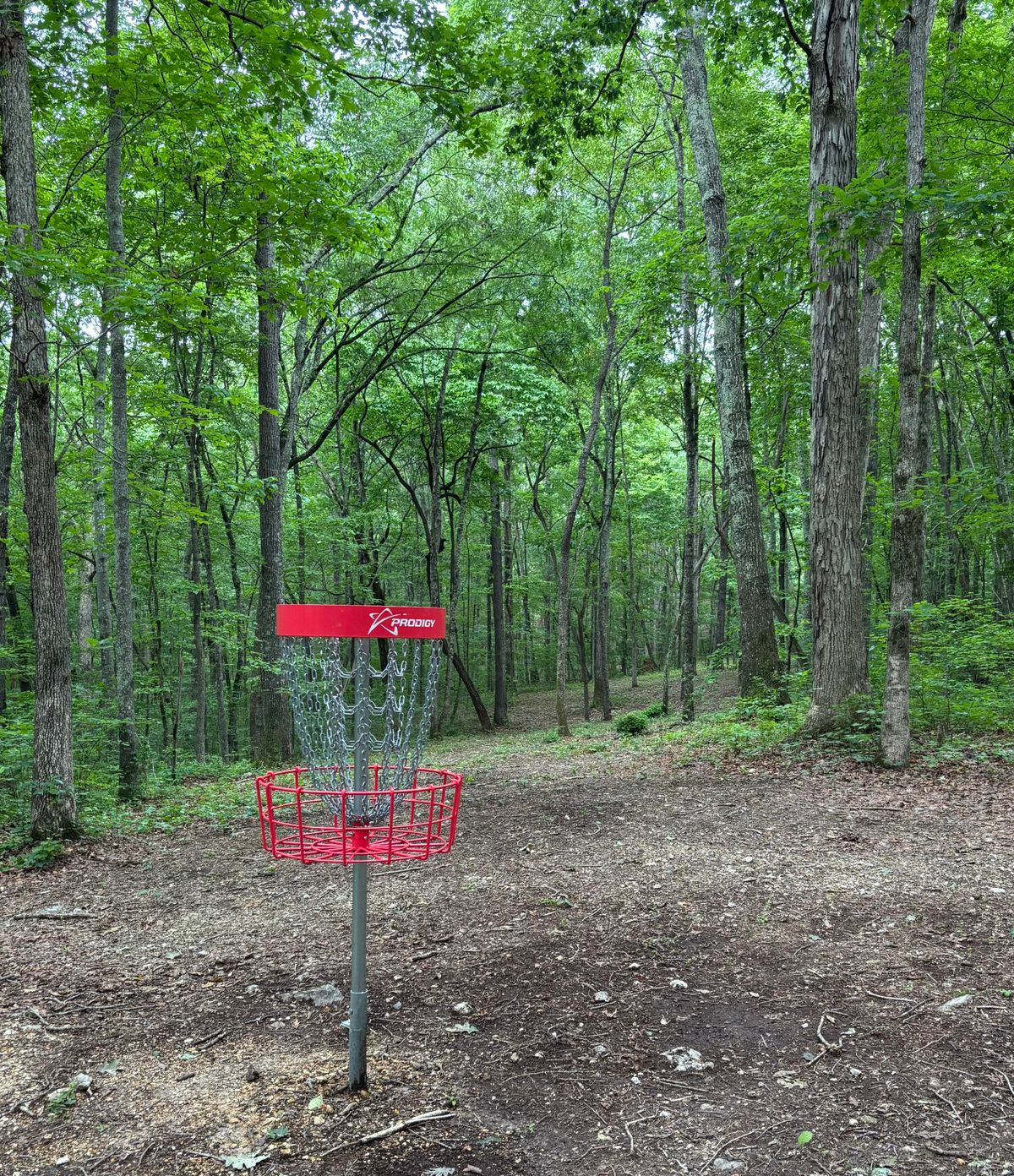 Hole #5 Basket to Tee