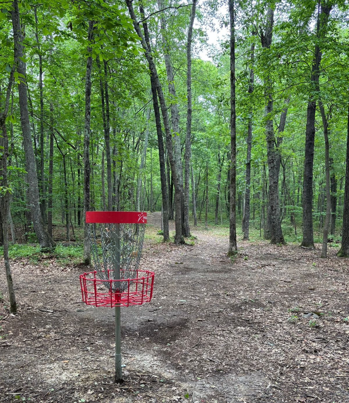 Hole #3 Basket to Tee