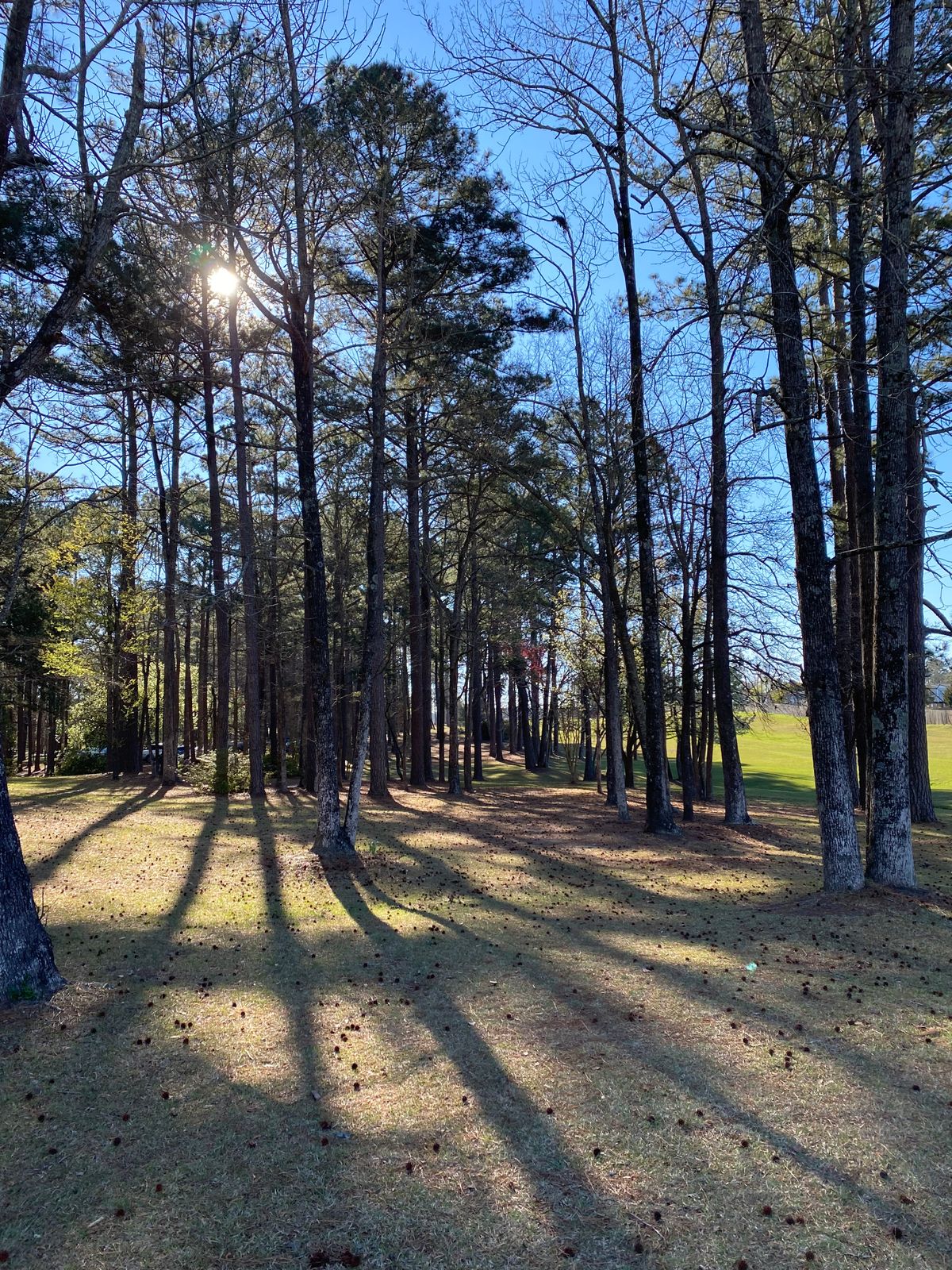 Hole 3 Blue Tee
