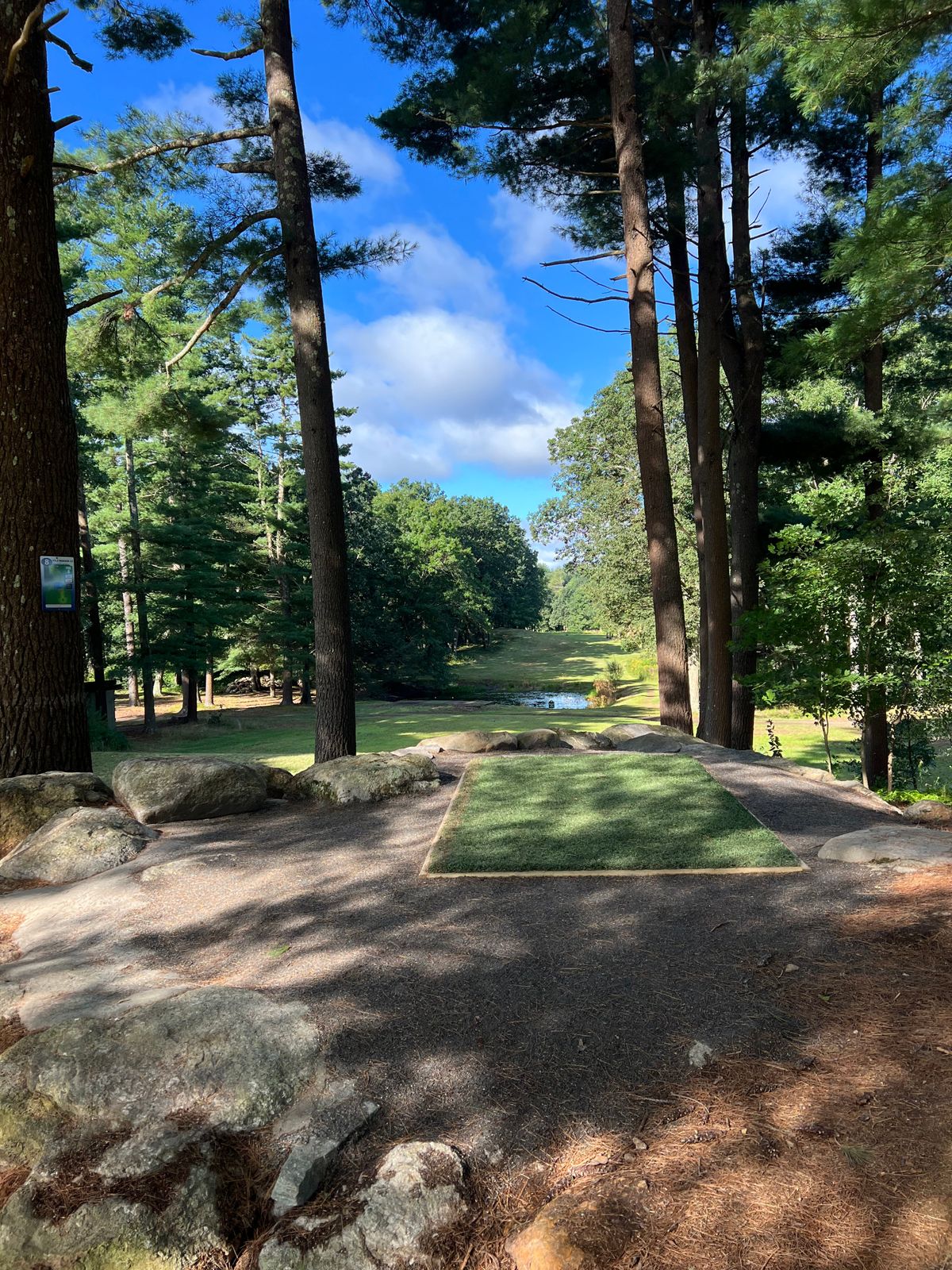 Hole 8 Tee