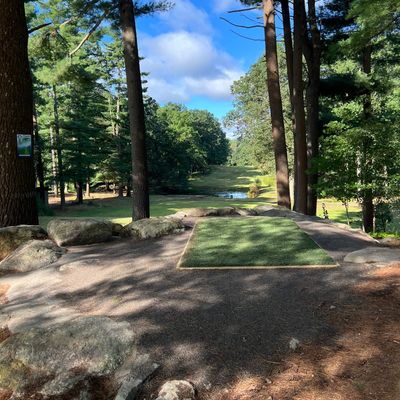 Hole 8 Tee