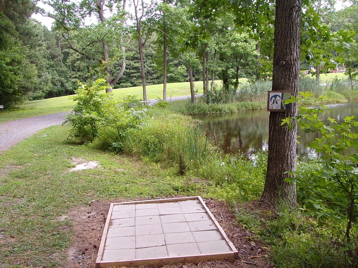 Tee pad for hole 12. Pond is in play with any straight or high shot. The safe play is over the road, left of the trees.