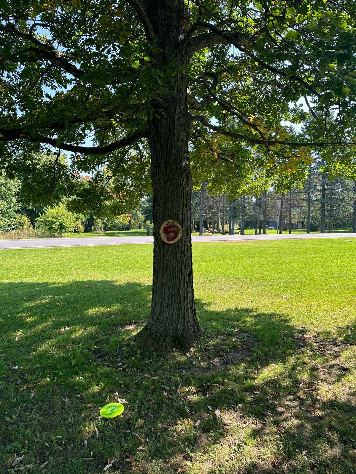 Tree target of 5
