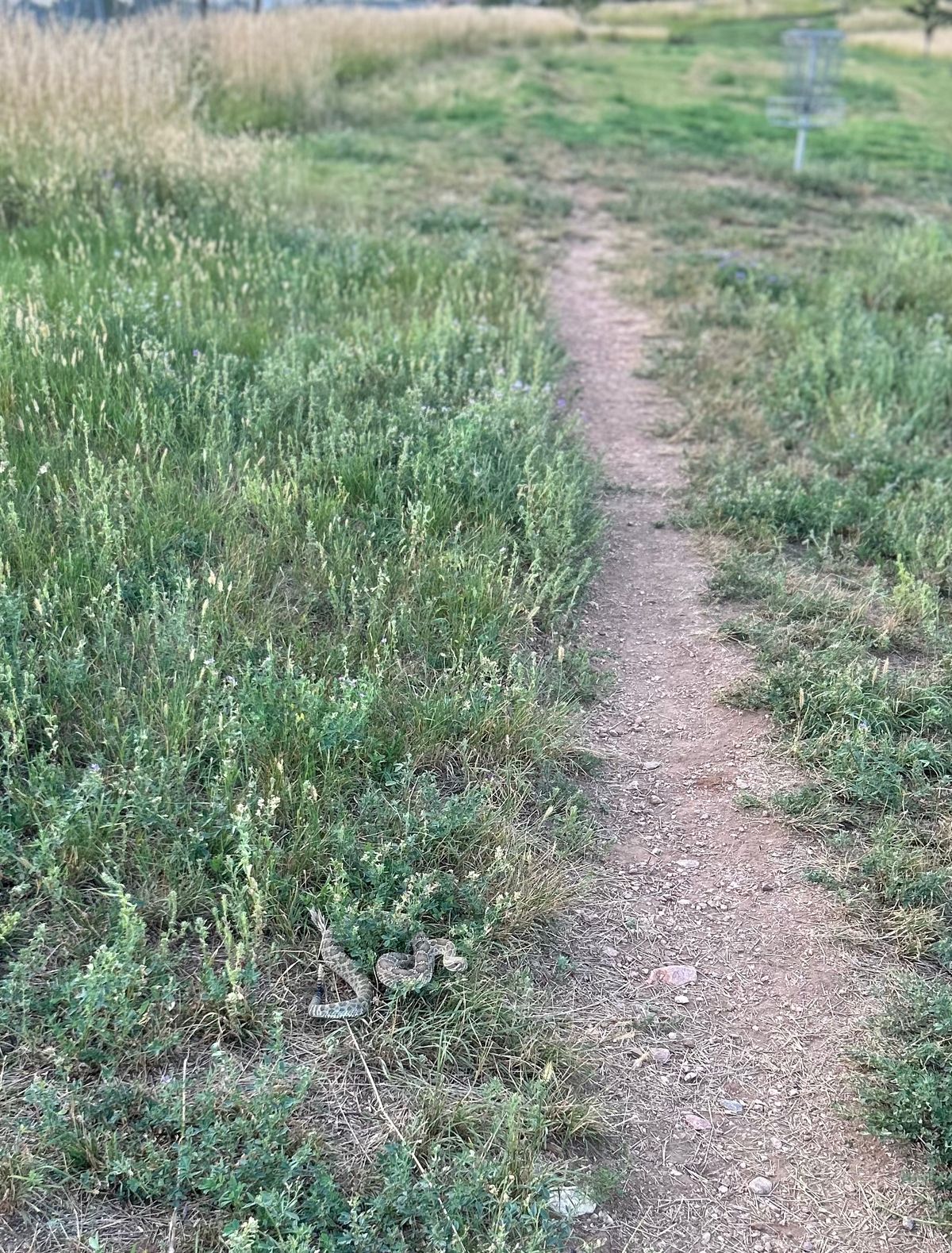 Watch yourself out here, found a buddy between 16-17.
