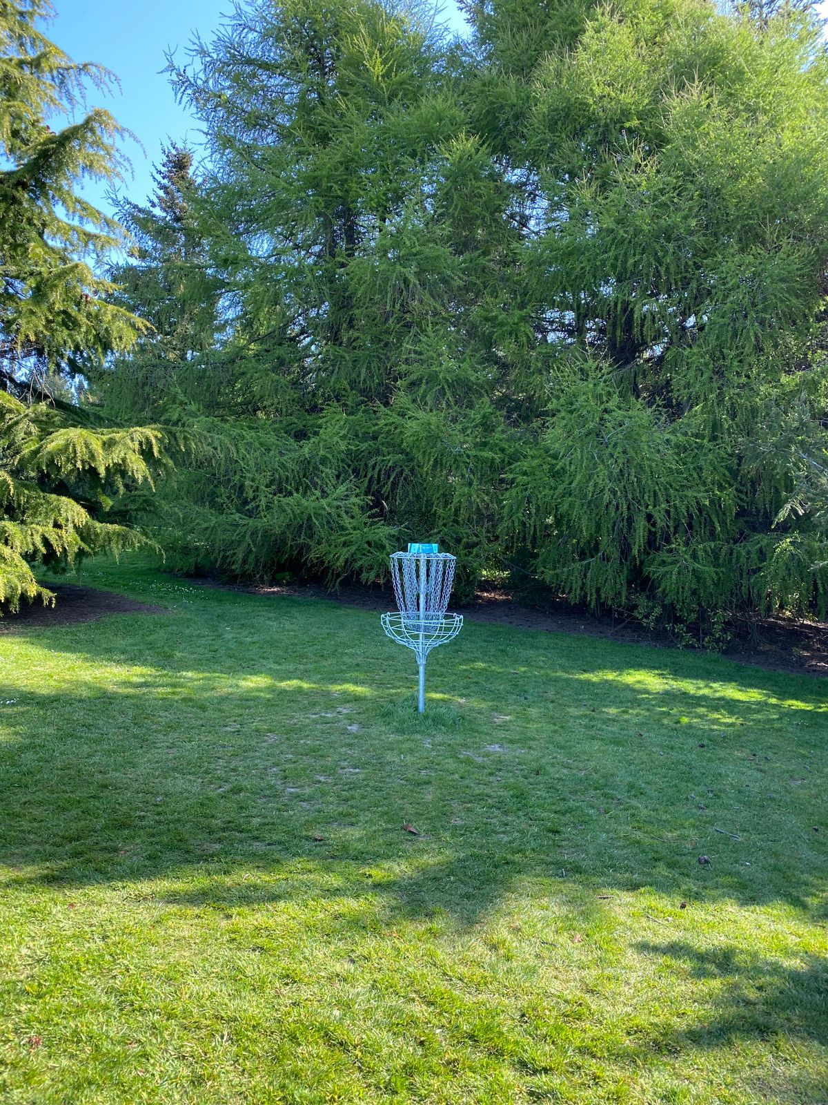 "Flying Tui" basket 