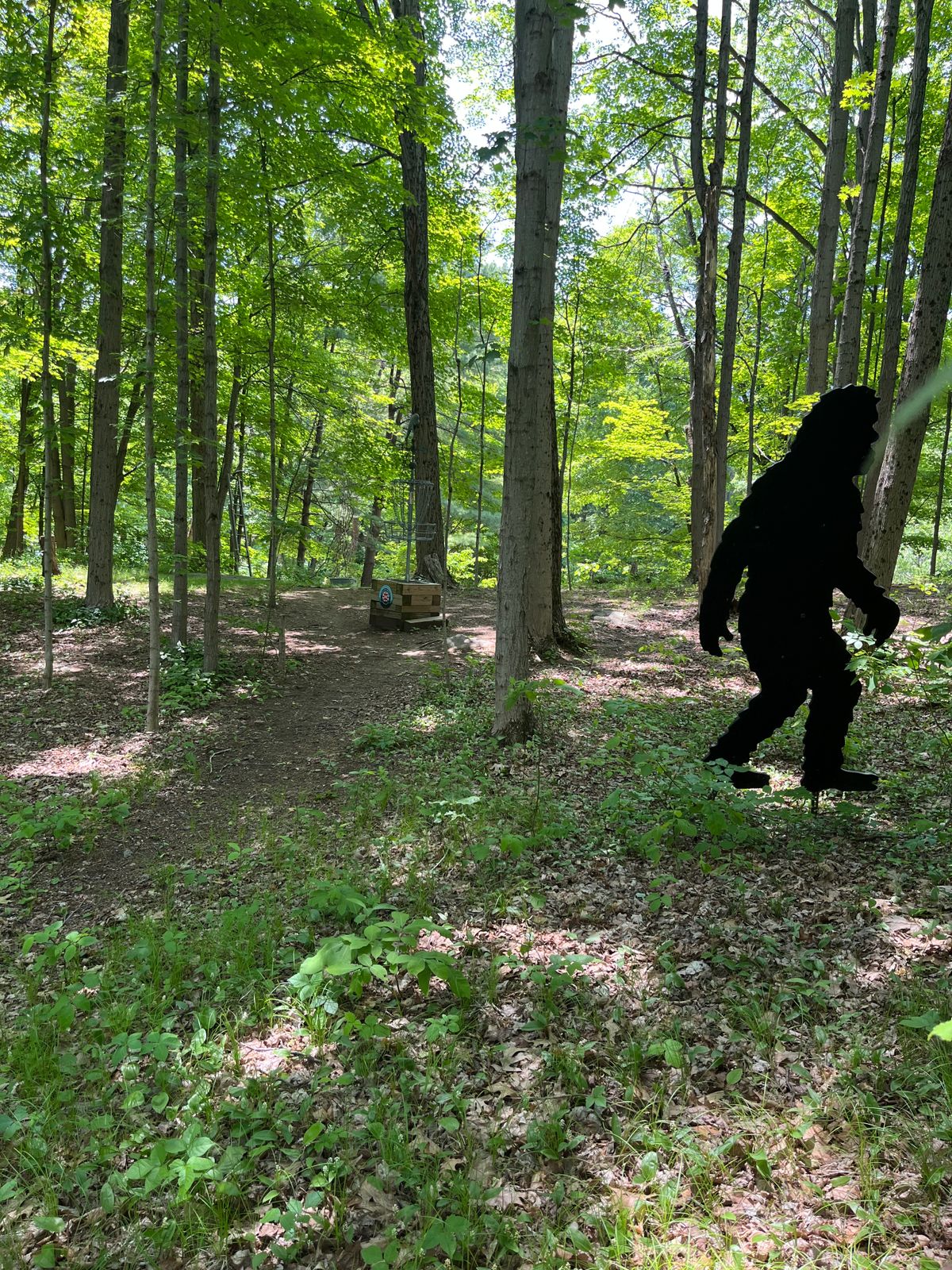 Hole 8 basket, and 13 Blue as well