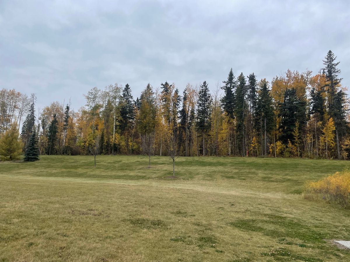 looking up towards the entrance back into the woods. Short tees