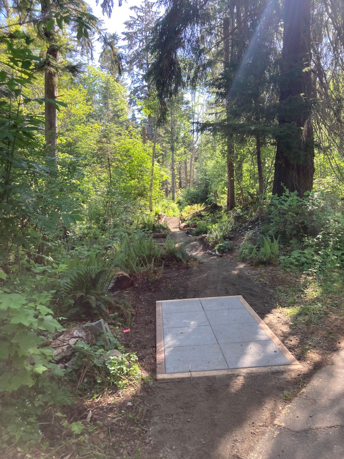 Hole 8A Gold Teepad (new 2024)