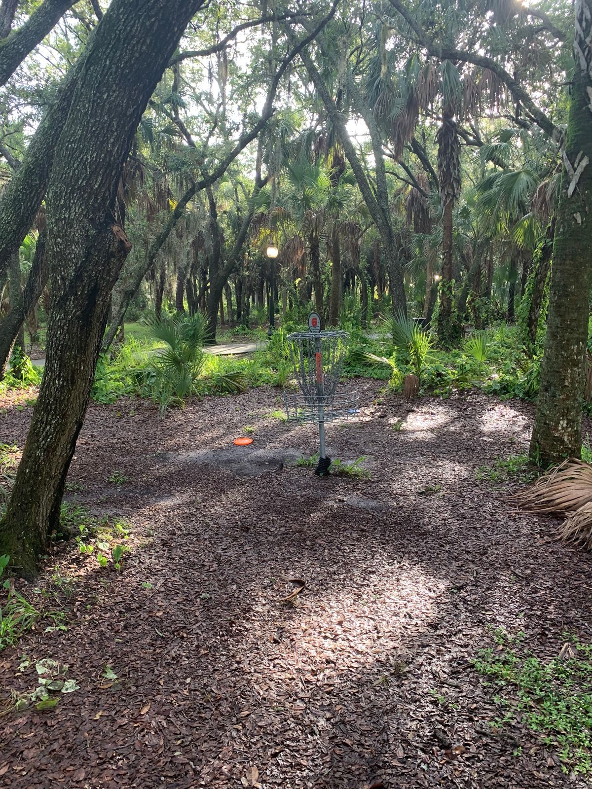 Hole 6 putting circle