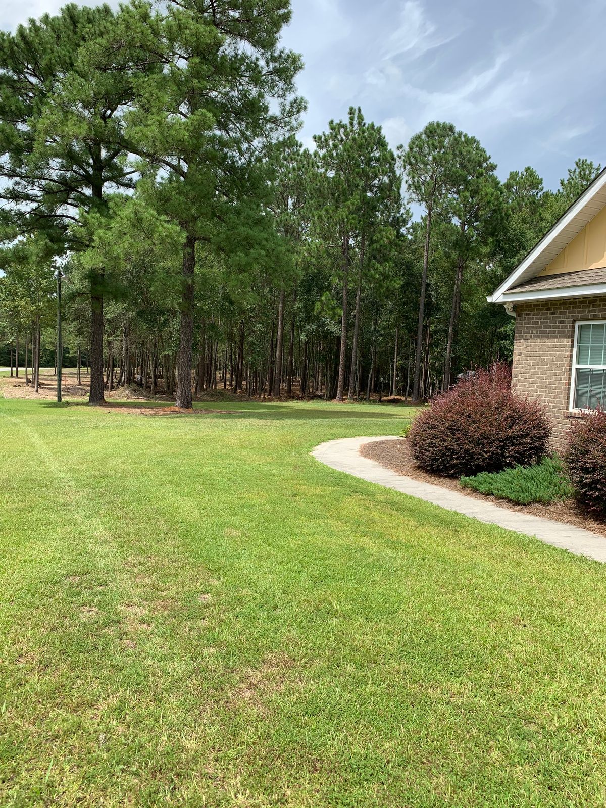 Tee pad for hole 13