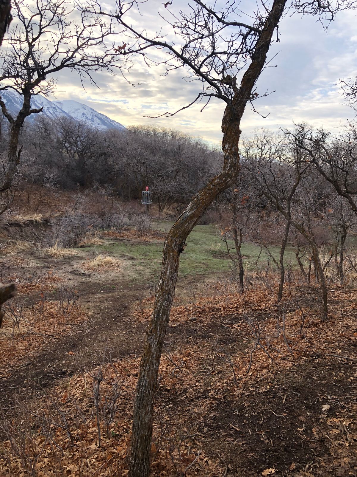 Typical landing area for tee shot from Hole 17 tee box.