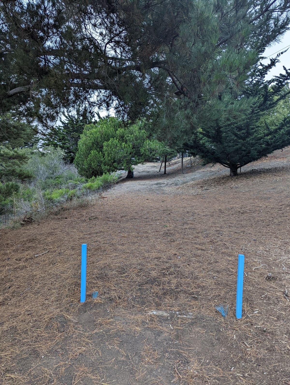 Hole 9 Tee pad view