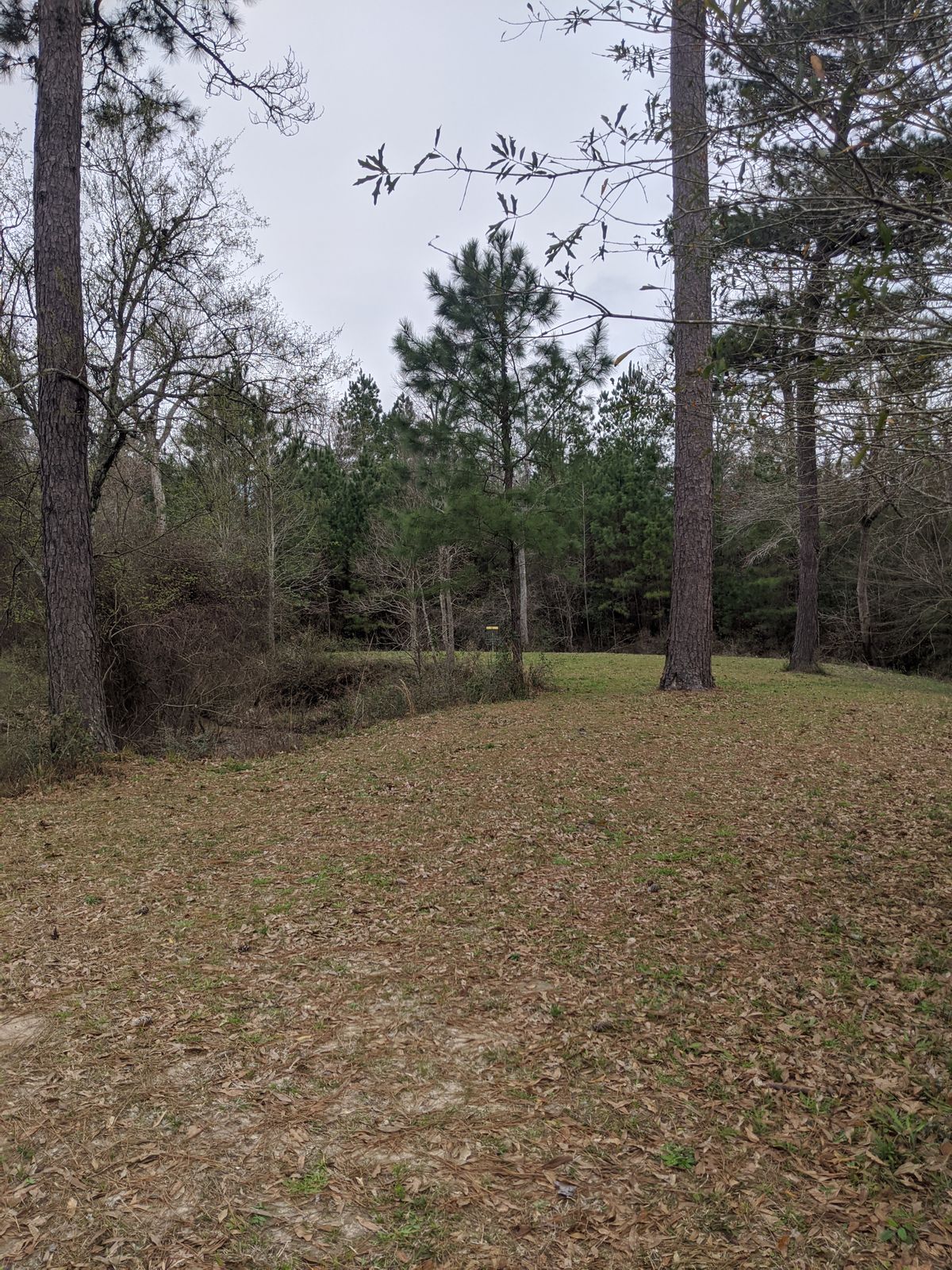 Hole 13 Island Fairway