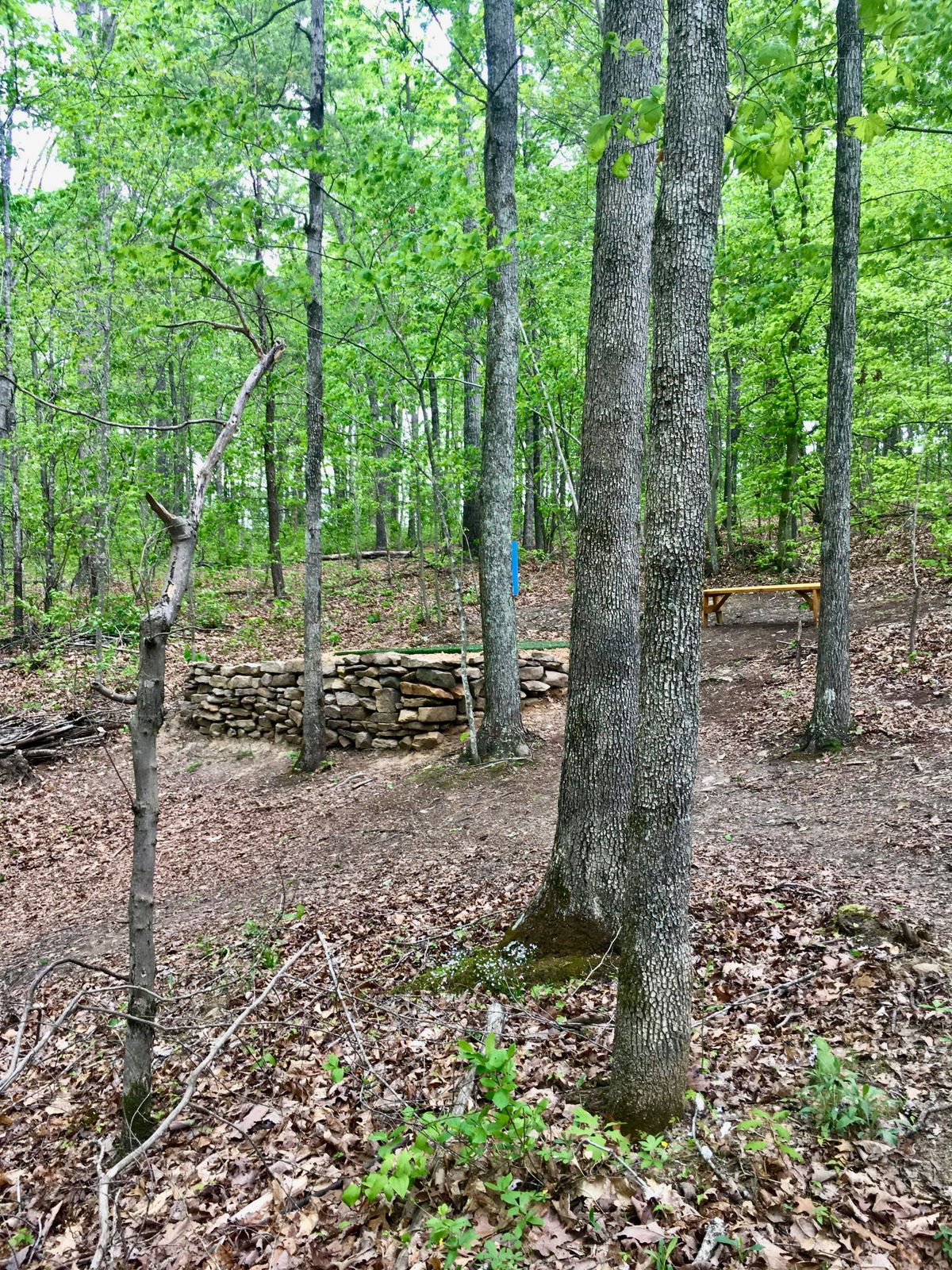 Hole #3 tee