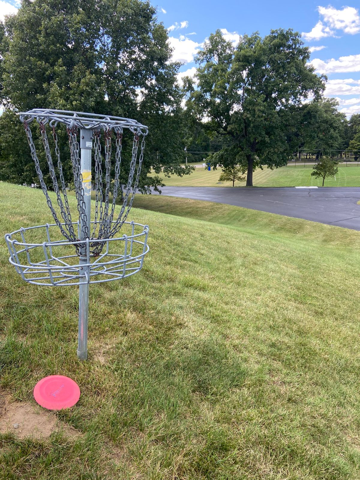 Hole 7 basket looking back towards tee