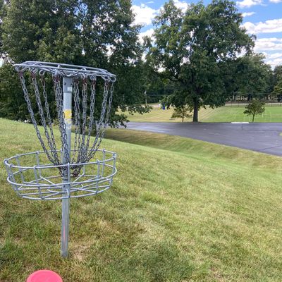 Hole 7 basket looking back towards tee