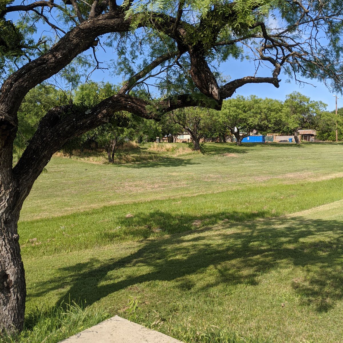 Hole 11 from tee to basket.