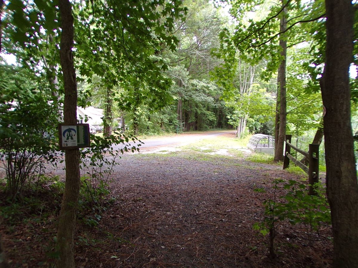 Tee area for hole 11. Basket is tucked to the right next to the pond's edge.