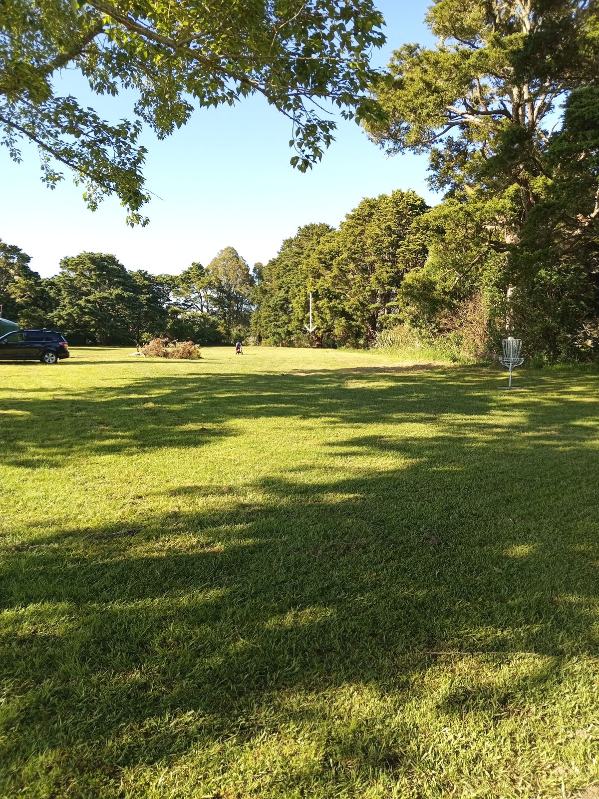 Hole 3, basket under a wide tree