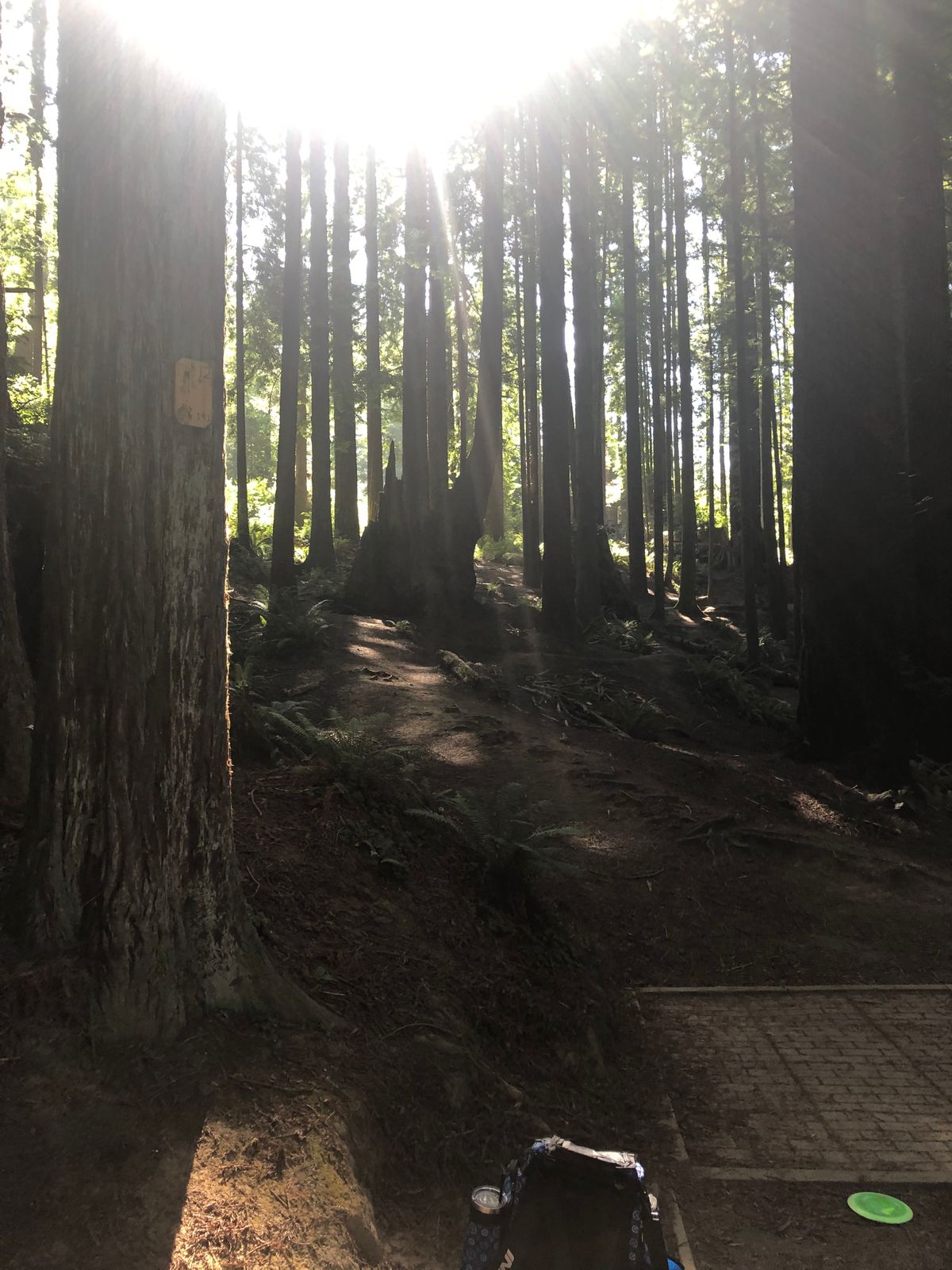 Hole 12