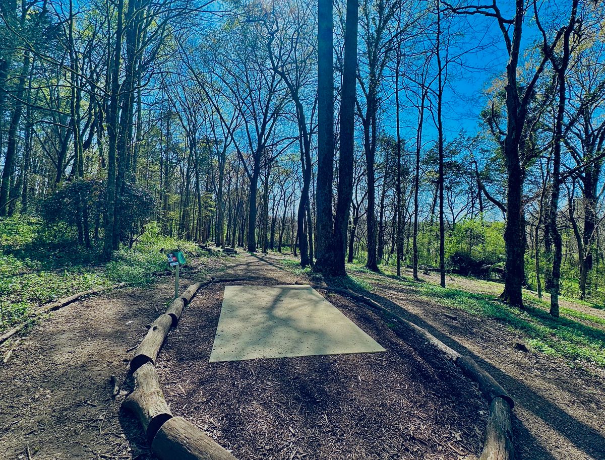 Hole 17 (Short Pad)