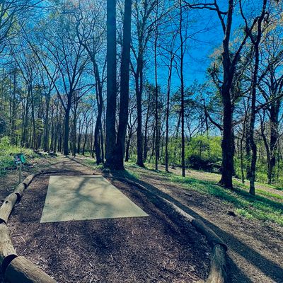 Hole 17 (Short Pad)