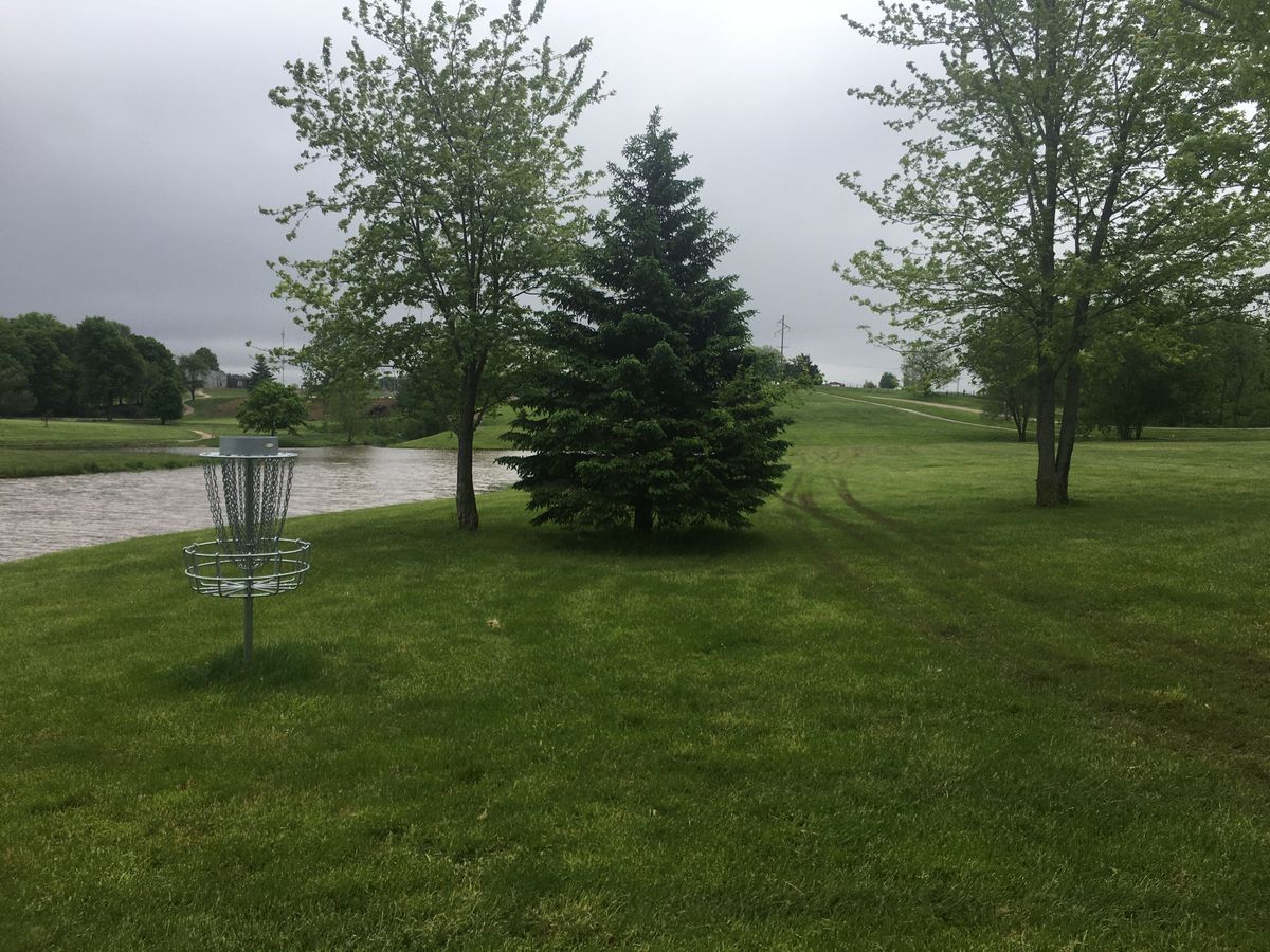 Hole 8 basket