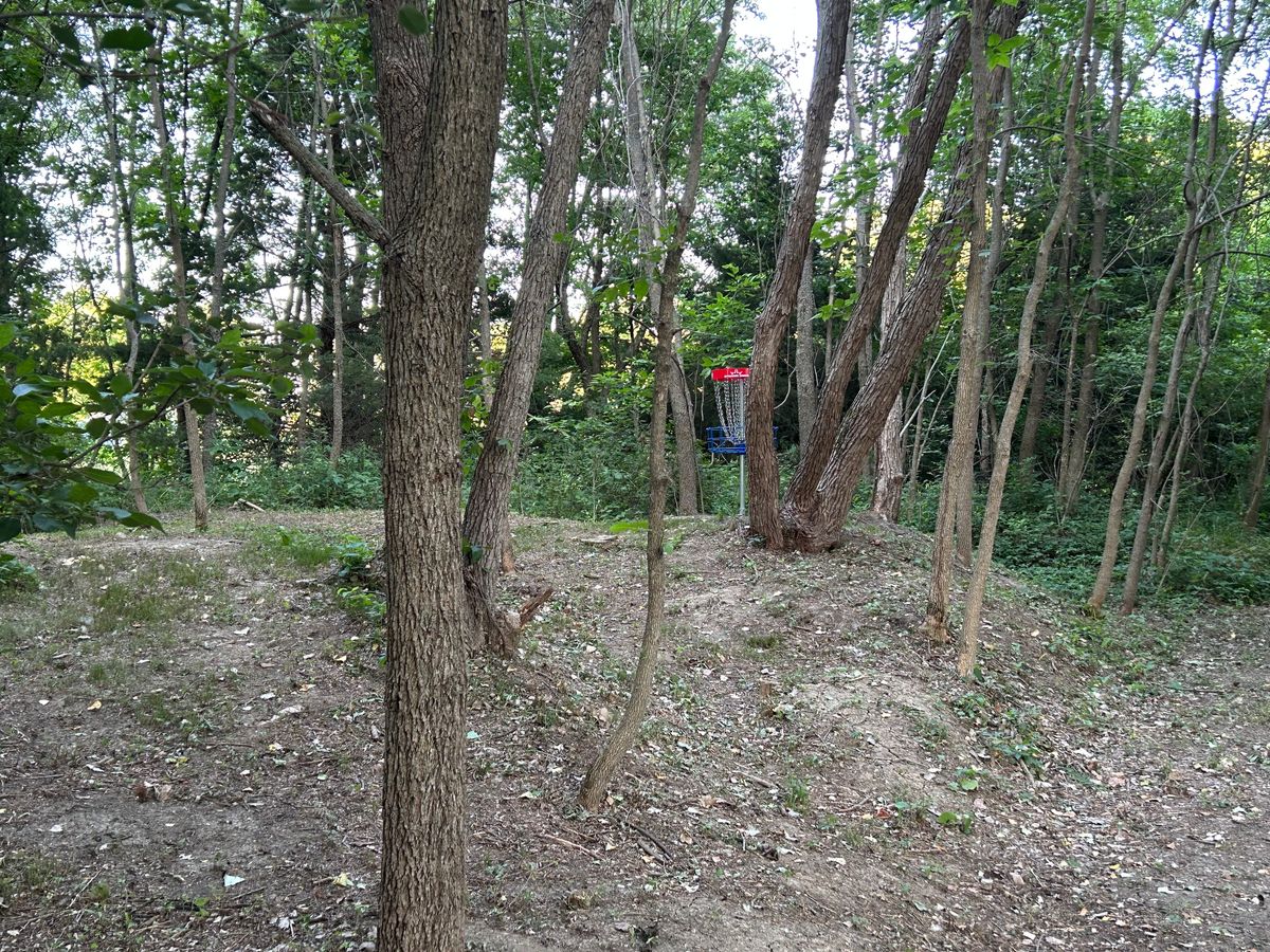 Hole #13 upshot to B basket