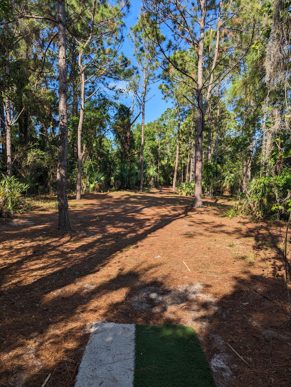 Hole 6 Tee