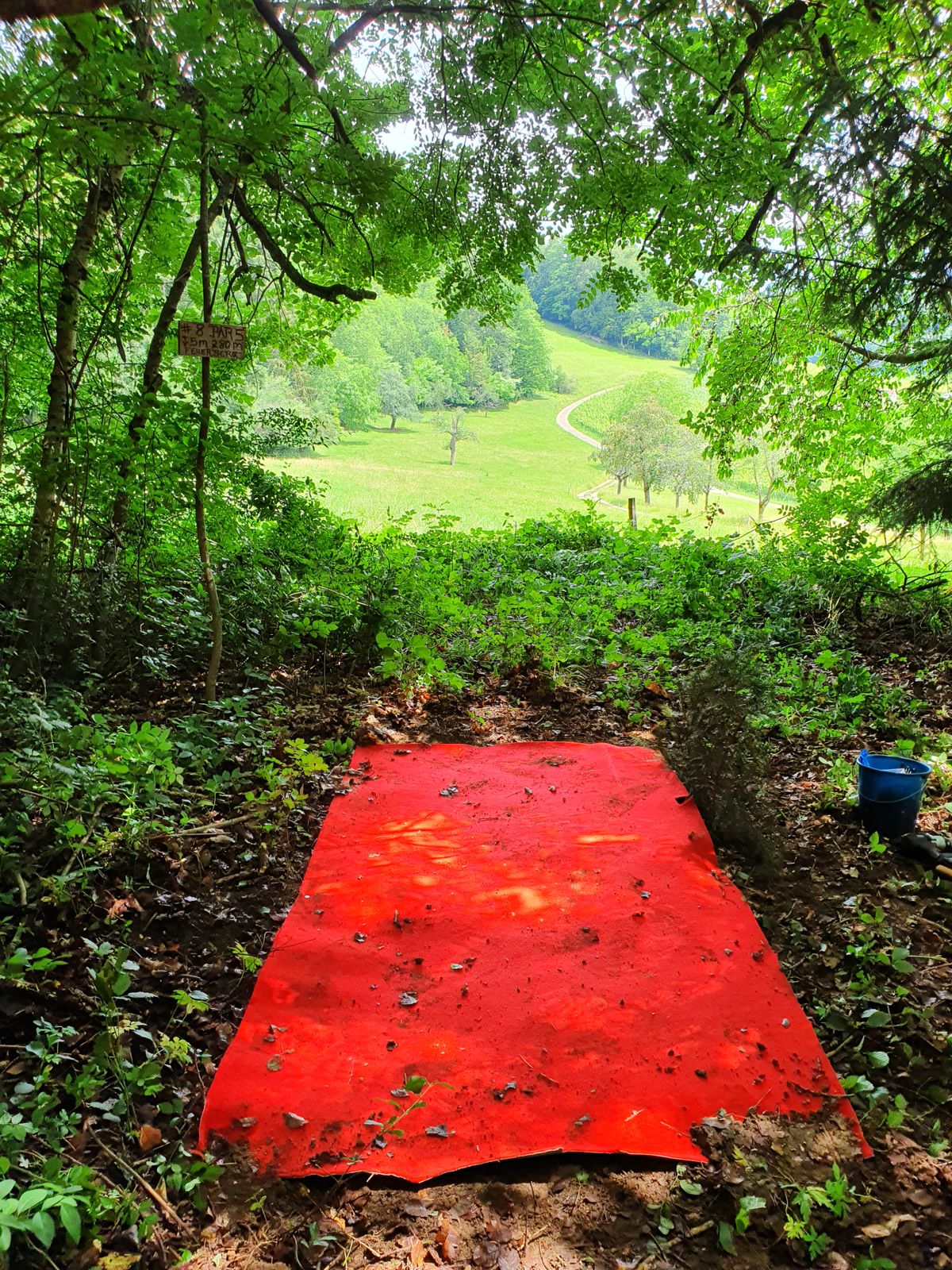 Bahn 8 A Par 5 ..links Weg und drüber OB!