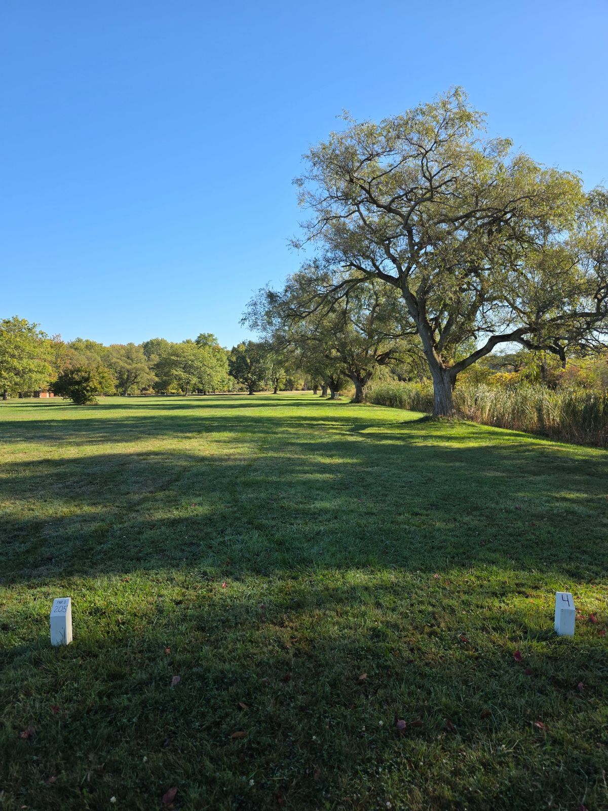 New Hole 4, September 30, 2025