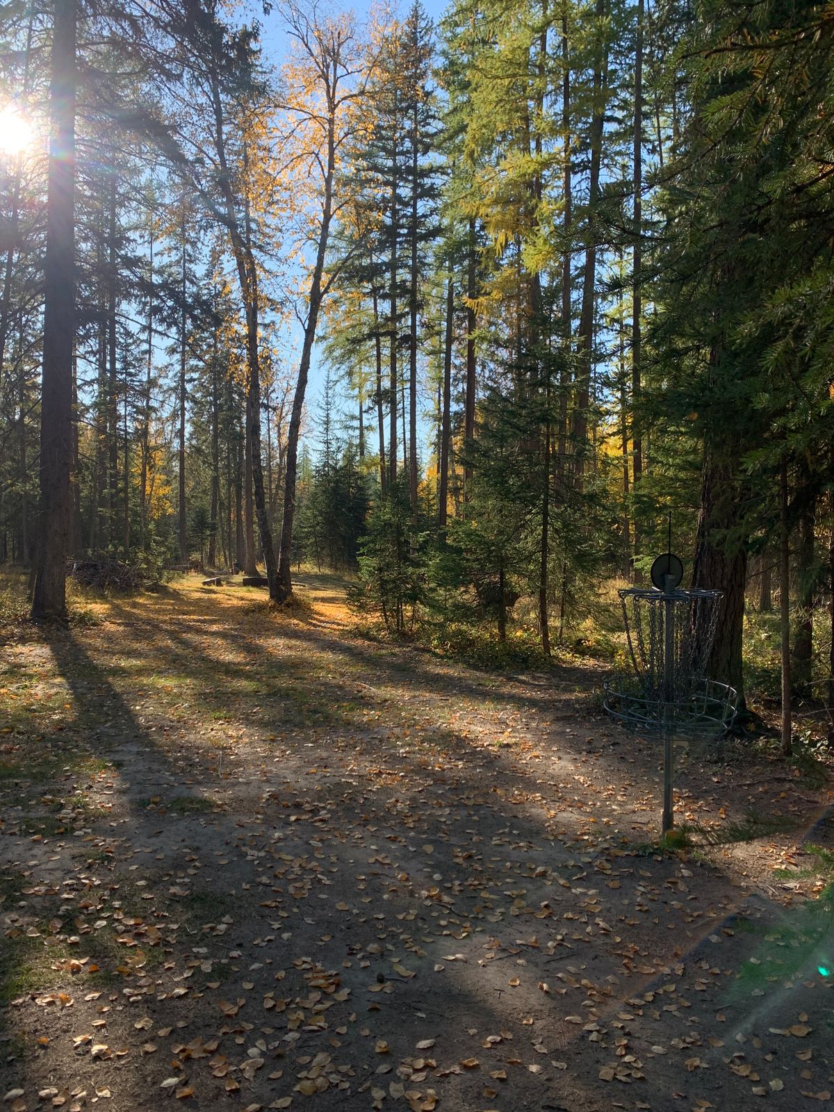 Green of hole 6 🍂