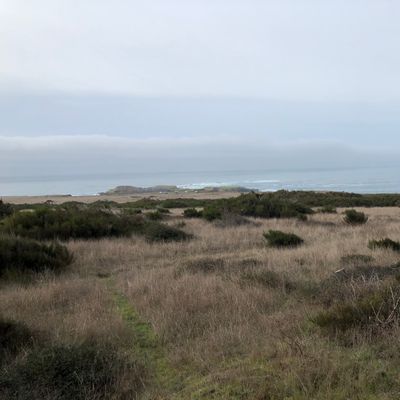 View from left field