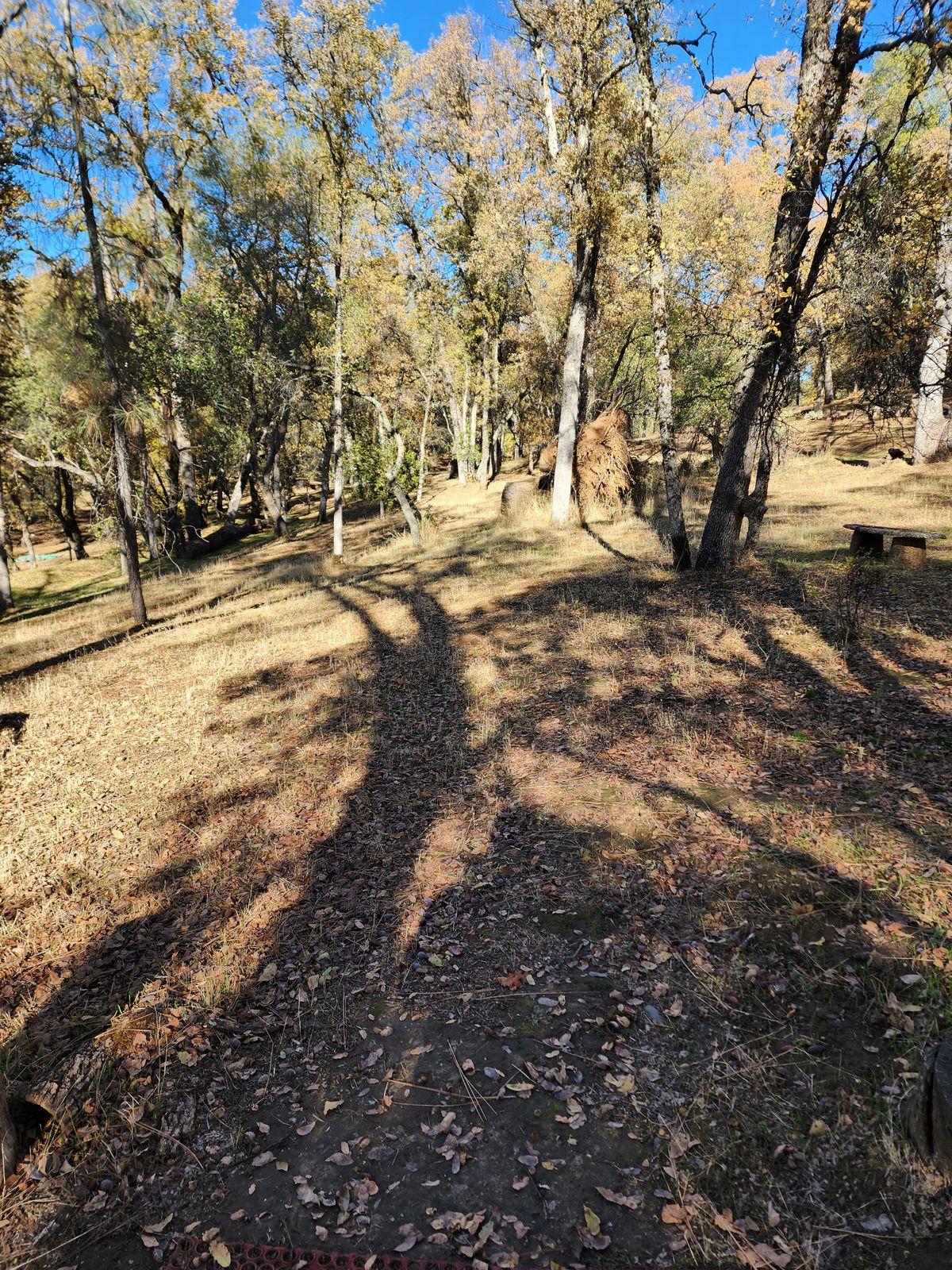 Hole 7 Tee