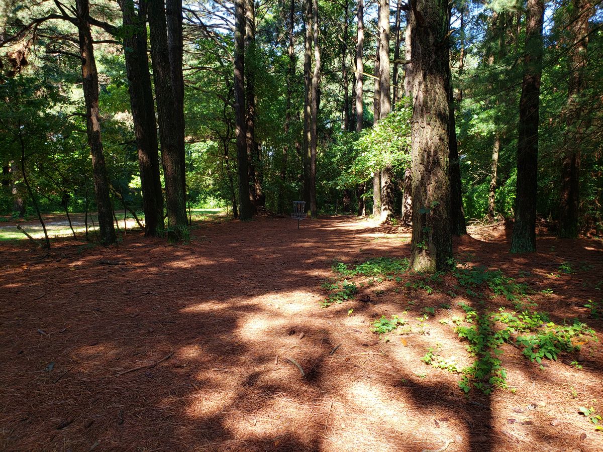 Hole 6 Basket