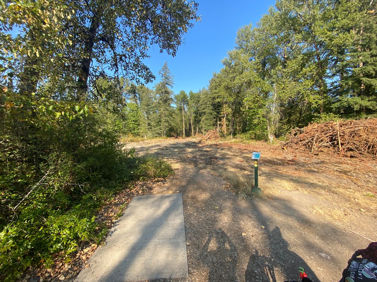 Tee pad 11