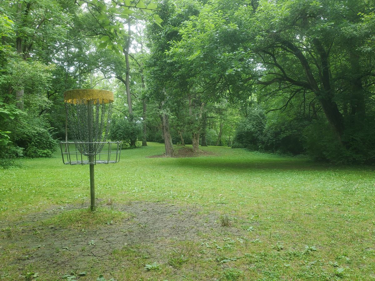 Hole 16 looking back at tee
