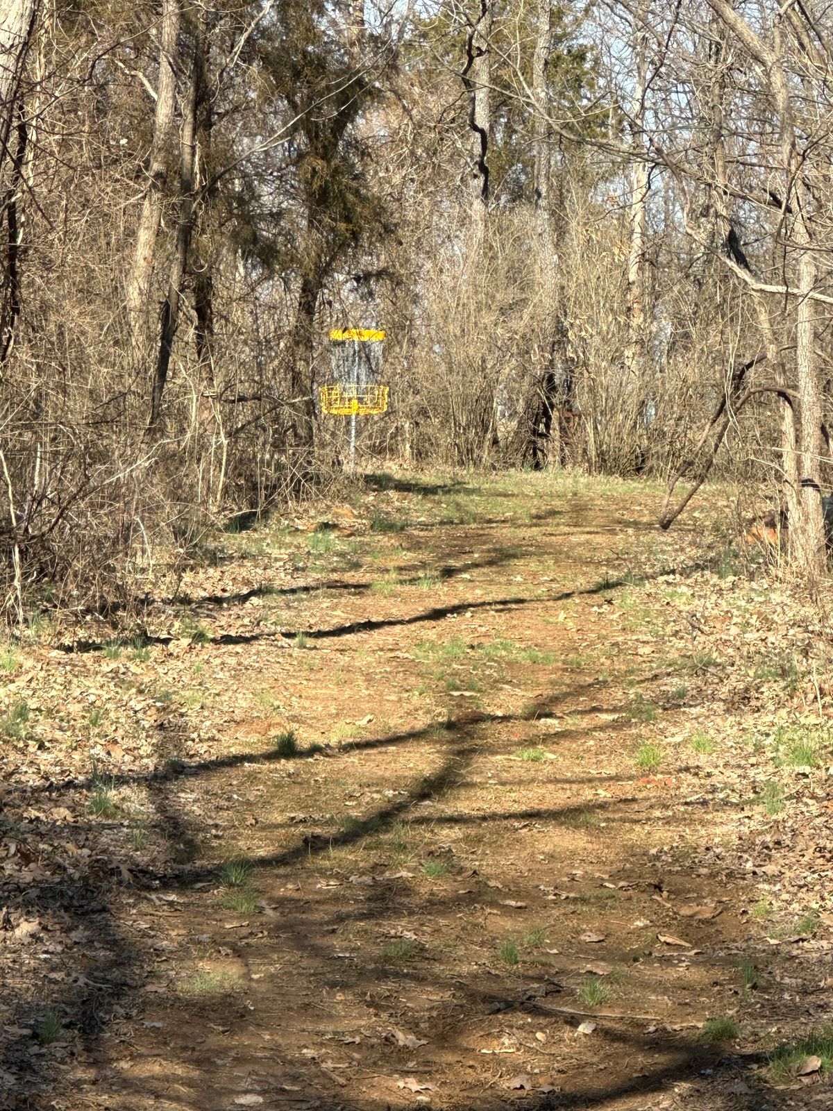 #2 fairway and basket