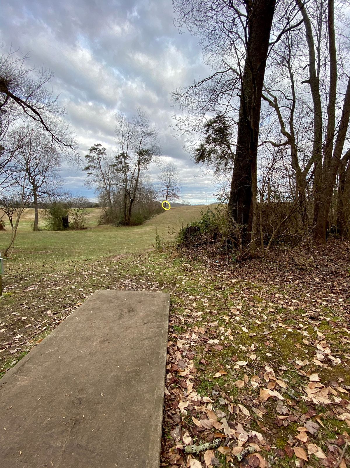 Hole 4 tee