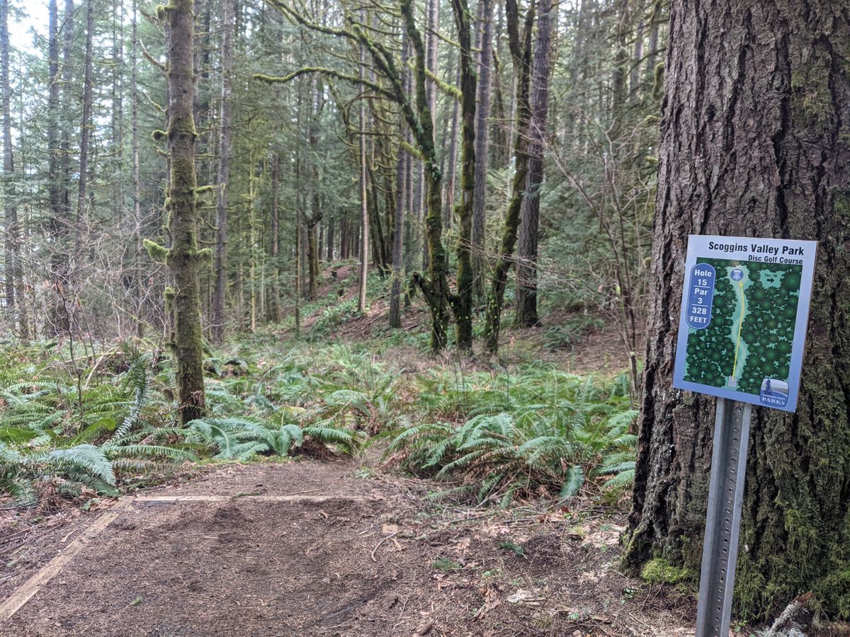 Hit the gap and be rewarded with a nice flat landing zone. Hit a tree early and test your scramble skills
