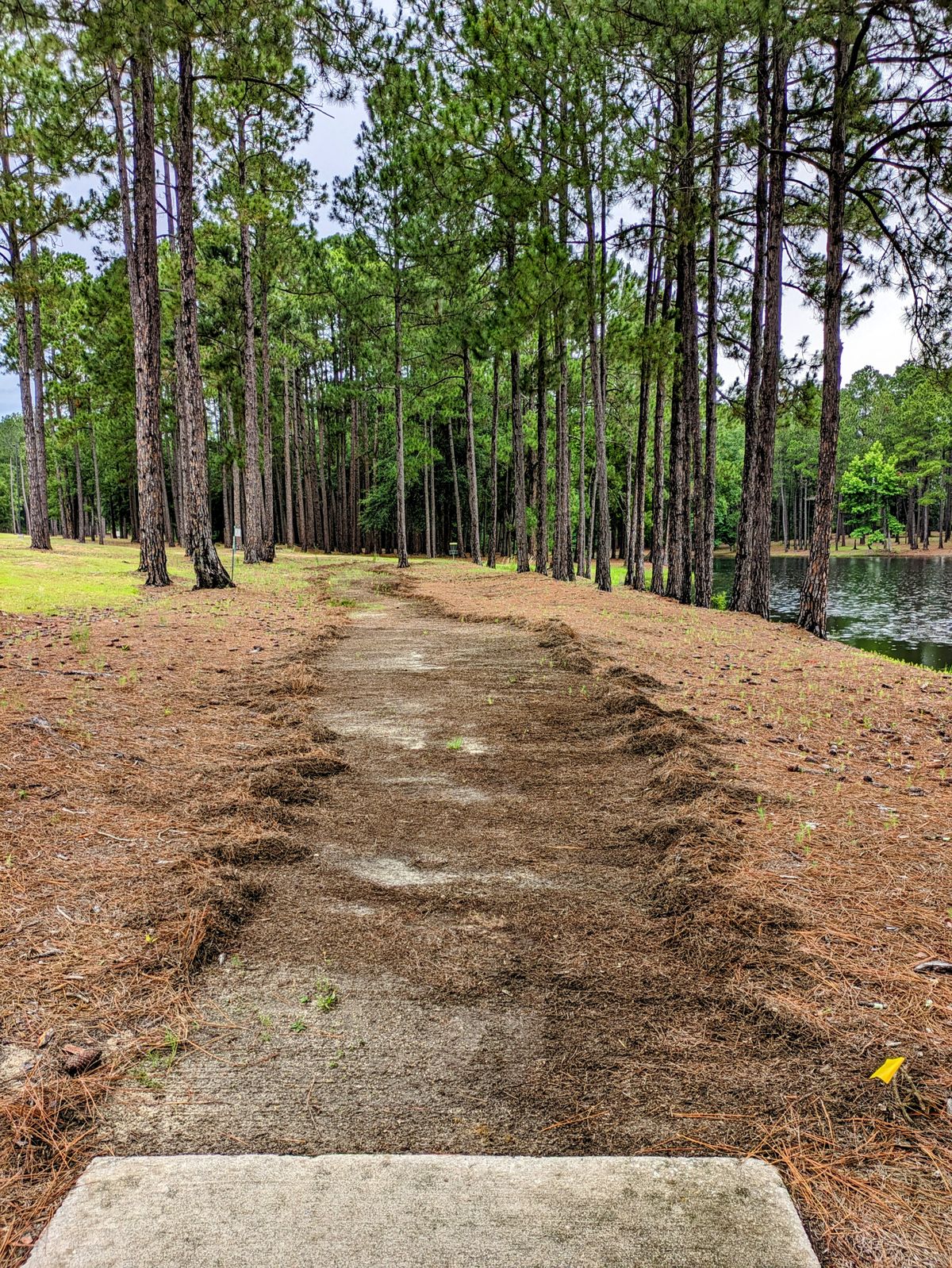 Developing clear fairways on the course.