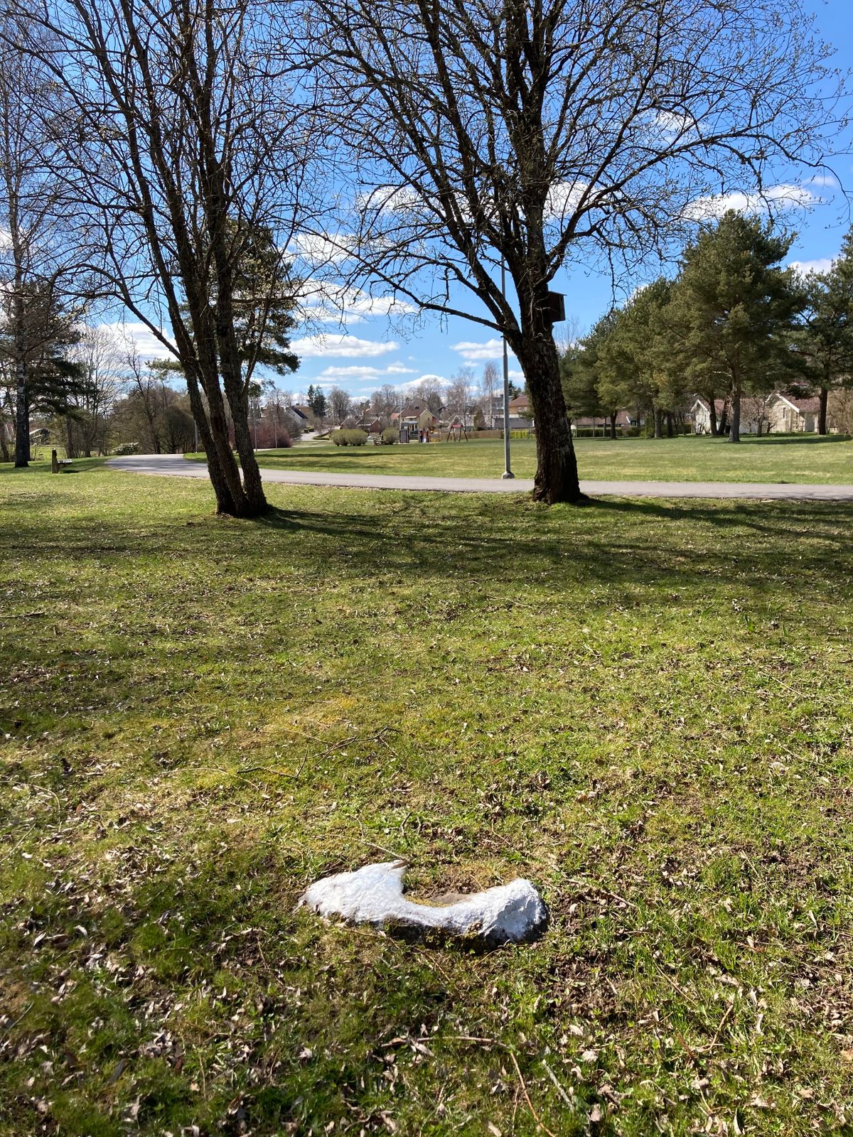 Tee 1