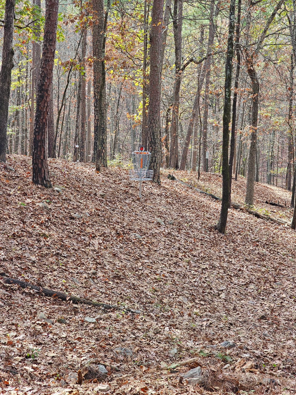 Hole 4