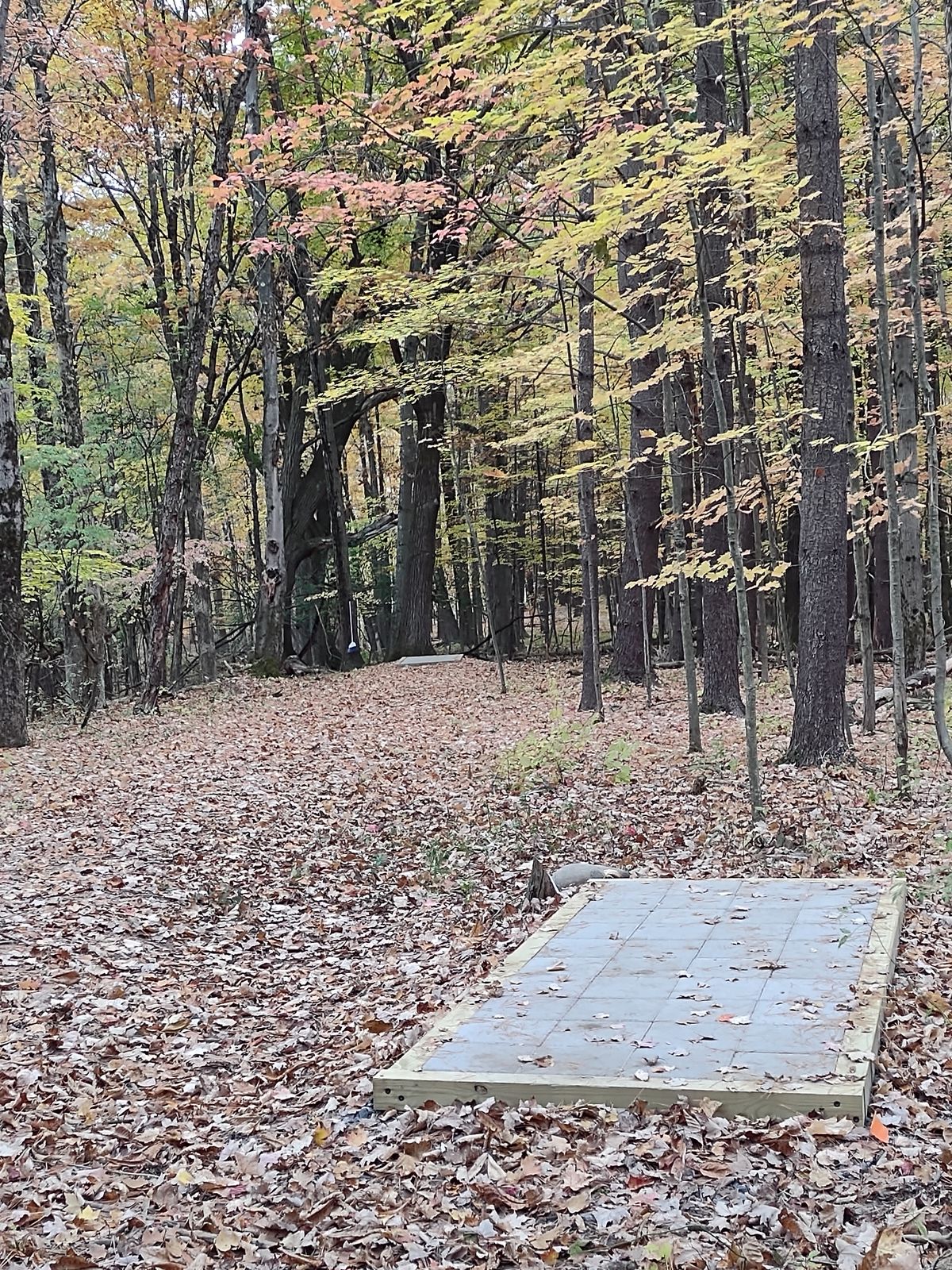 Twice the number of tee pads.