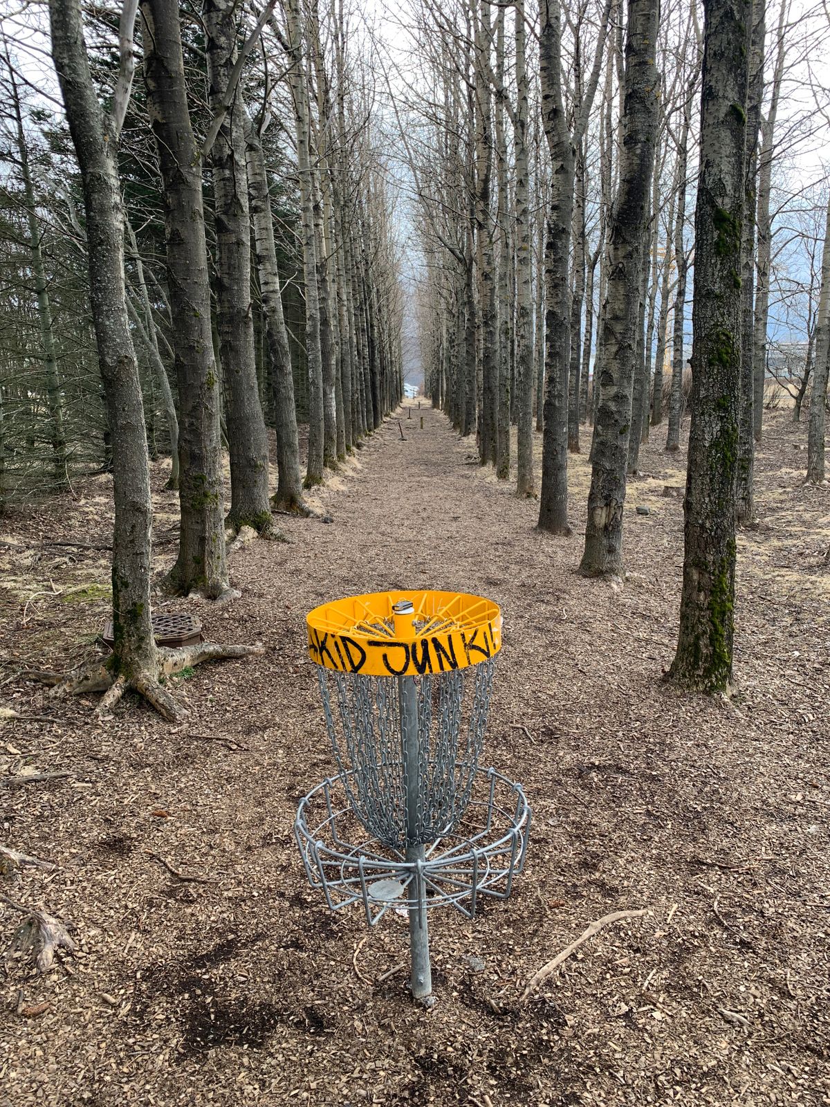 Hole 8 ..once you get there 😅