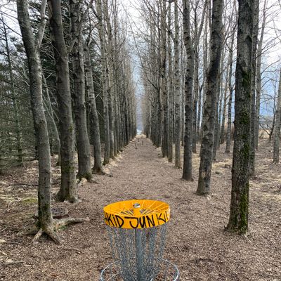 Hole 8 ..once you get there 😅