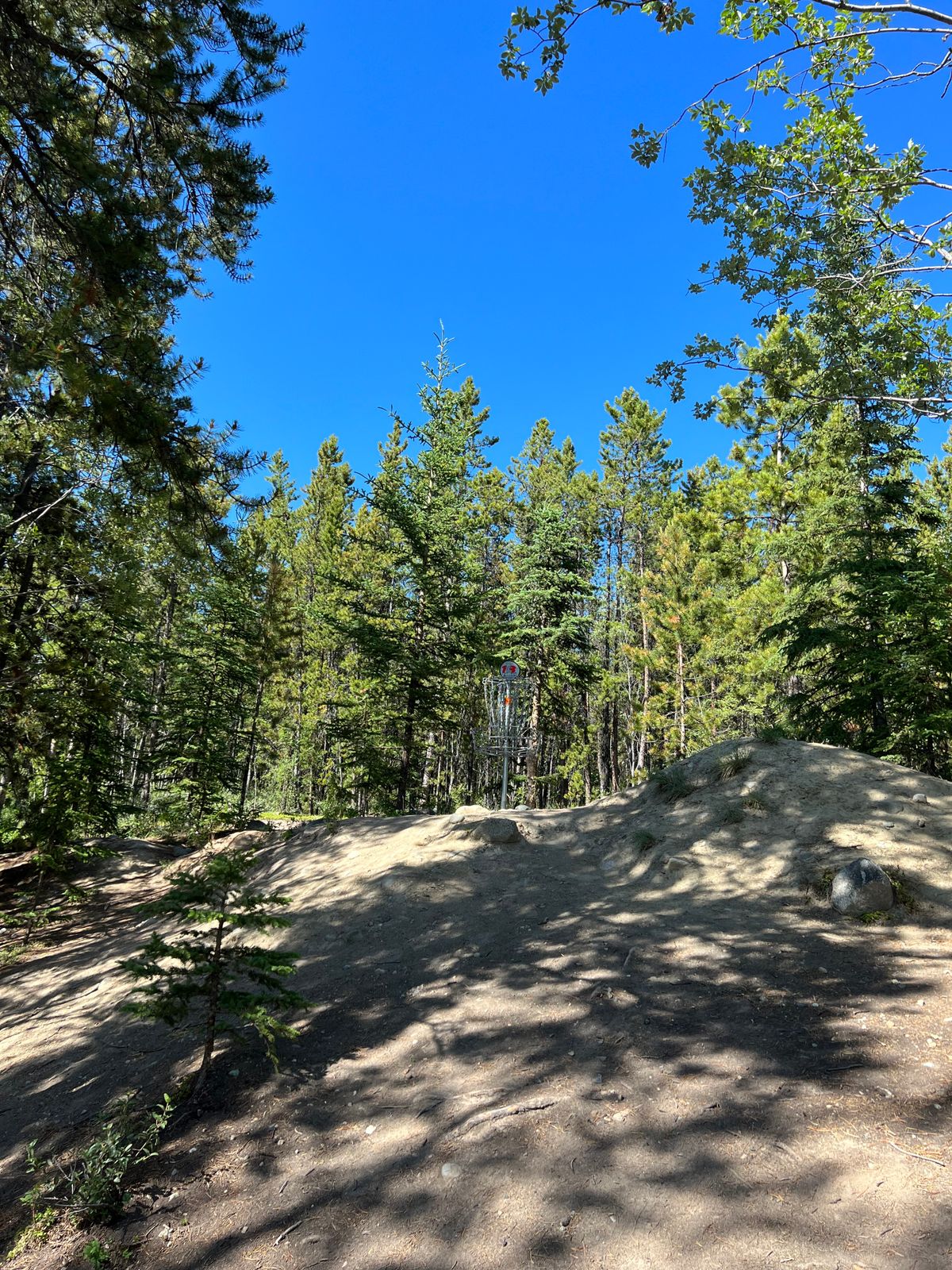 Hole 13 basket